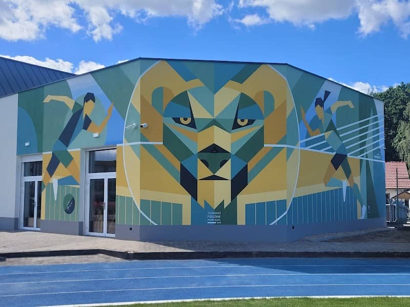 Mural GKS "bieg lwa" autor: alemurale.pl - Image 1