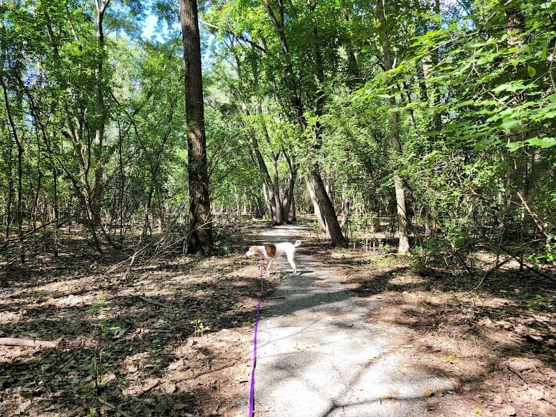 Wedgewood Association Walking Trails - Image 2