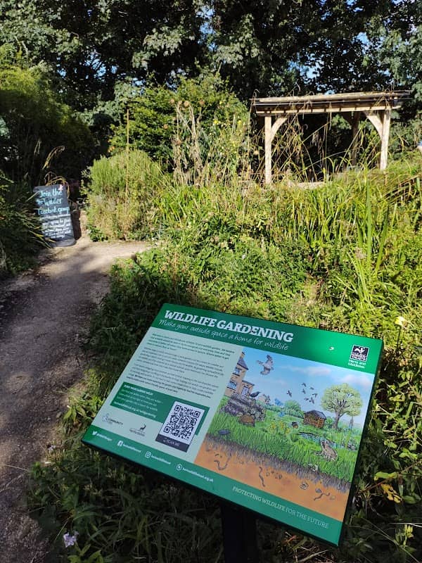 Grebe House Wildlife Garden - Image 2