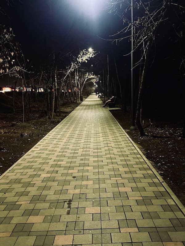 Park Dorozhnik - Image 2
