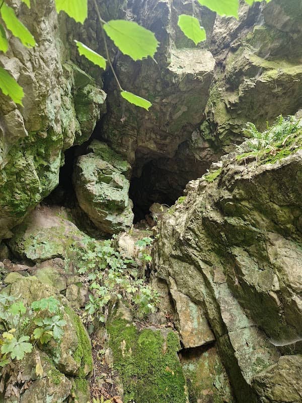 Psie skaly - Image 1