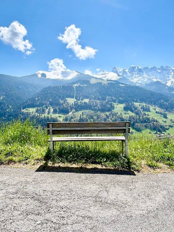 Banc de la route de Morgins - Image 1