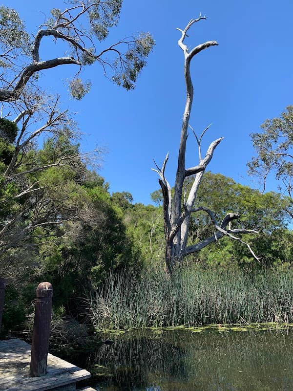 Beaconsfield Wetlands - Image 1