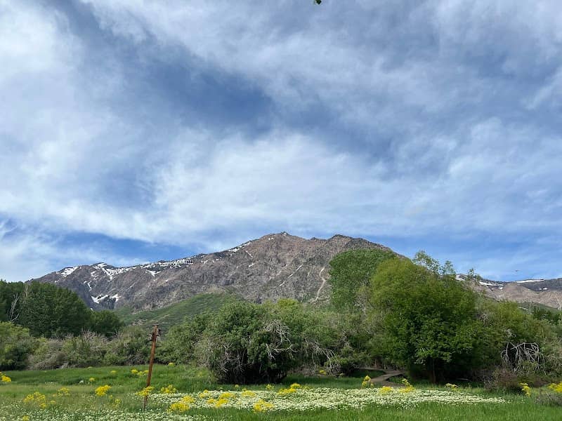 Wadman Nature Park - Image 2