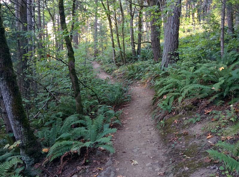 Mount Talbert Nature Park - Image 1