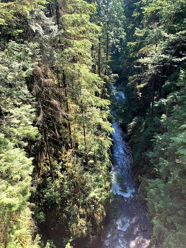 Pipeline Bridge - Image 1