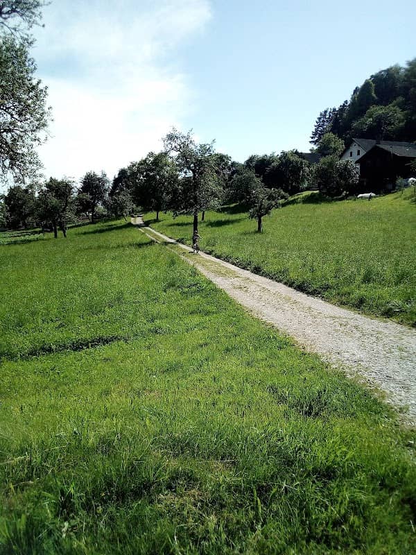 Športni park Podgorje - Image 3