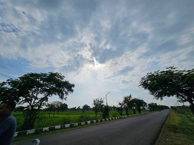 Greeny Park - Image 1
