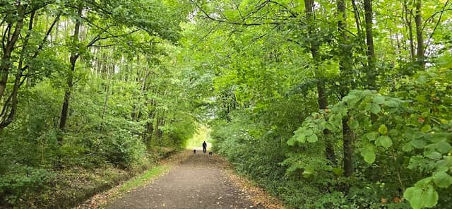 Grassmoor Country Park - Image 2