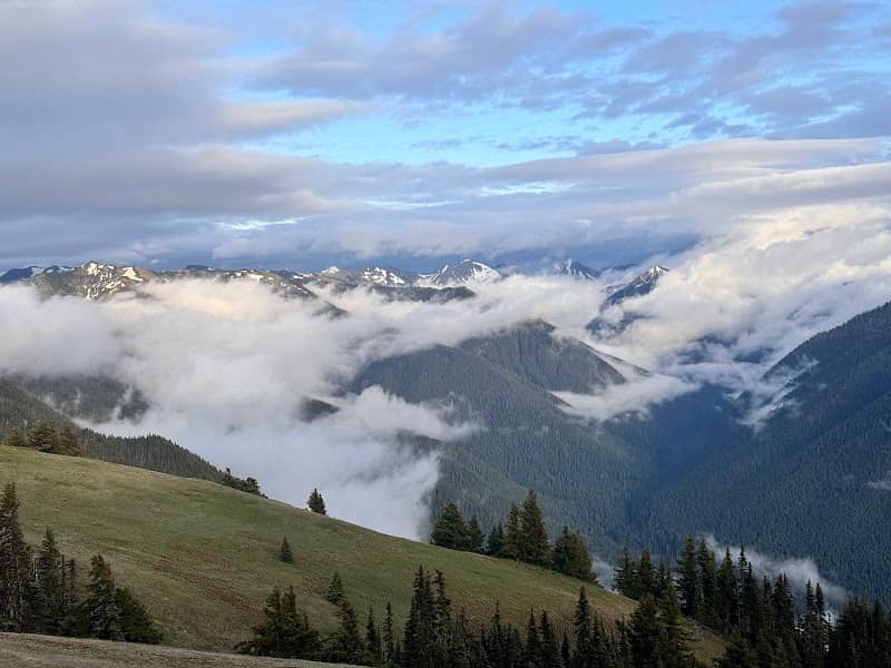 Olympic National Park Welcome Sign - Image 2