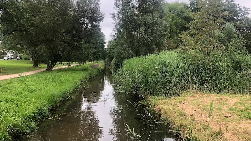 Burgemeester Bergerpark - Image 2