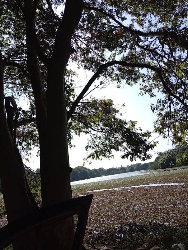 Ambathale Lake - Image 1