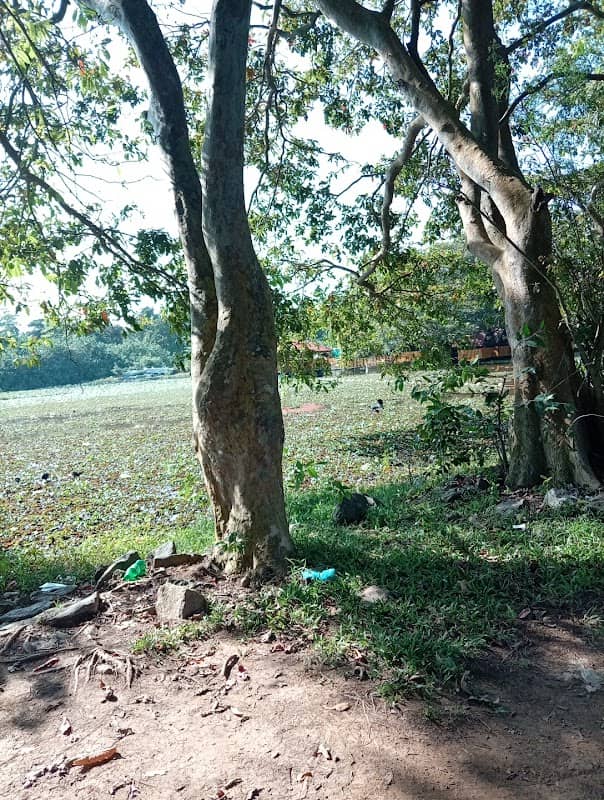Ambathale Lake - Image 2