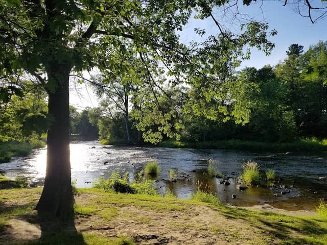 Woodyatt Park - Image 3