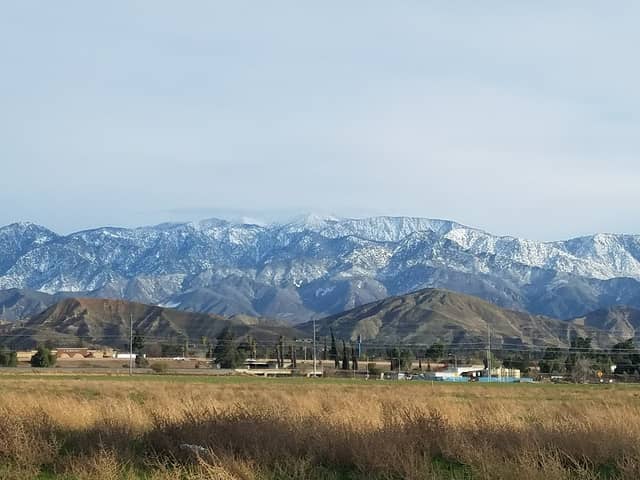 Lions Park - Image 2