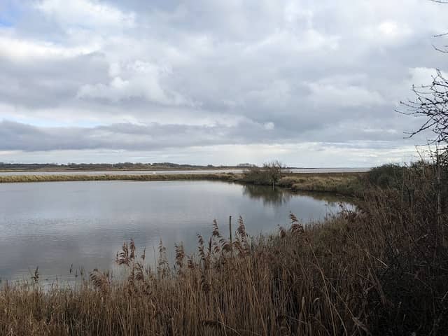 Laurie's Hide - Image 2