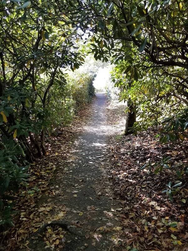 Mount Pisgah Picnic Area - Image 2