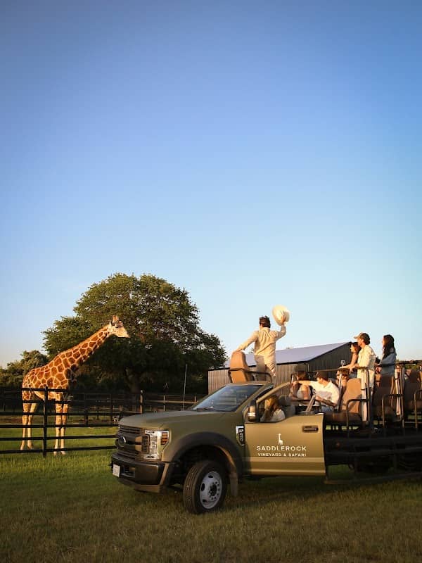 Saddlerock Vineyards & Safari - Image 1