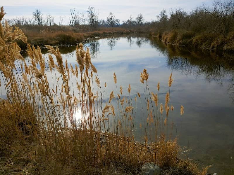 Hood Park Nature Trail - Image 1