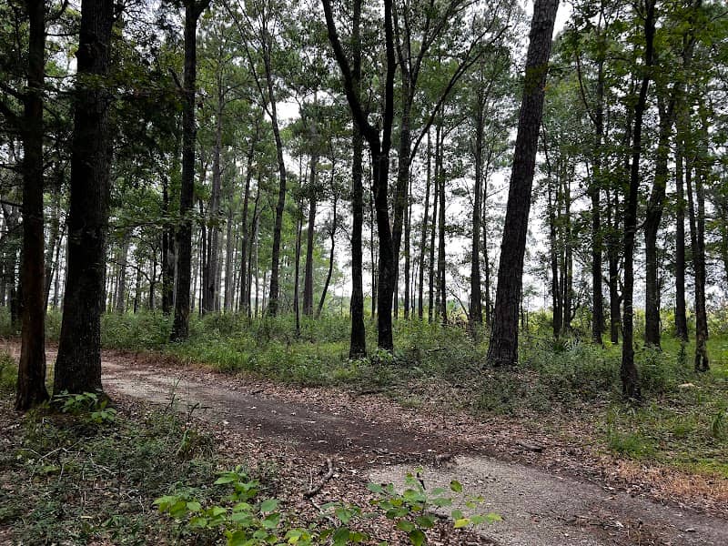 Marrington Plantation Trailhead - Image 1