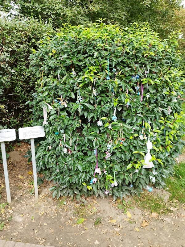 Schnullerbaum - Image 2