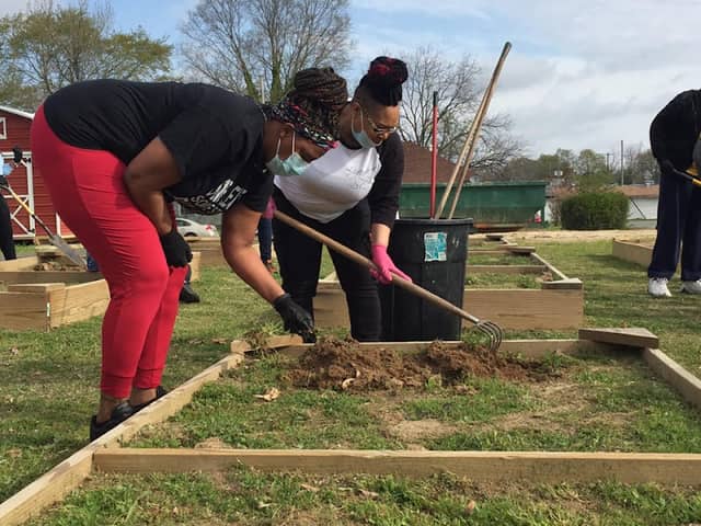 City of Pine Bluff Community Garden - Image 2