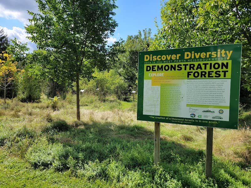Neighbourwoods Demonstration Forest - Image 1