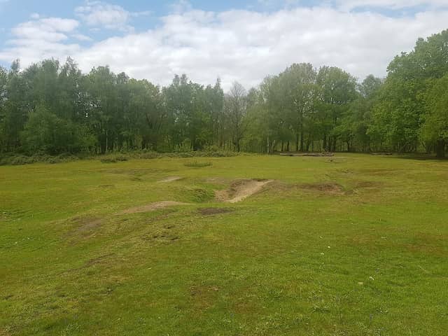 Ashford Warren & Hoads Wood - Kent Wildlife Trust - Image 2