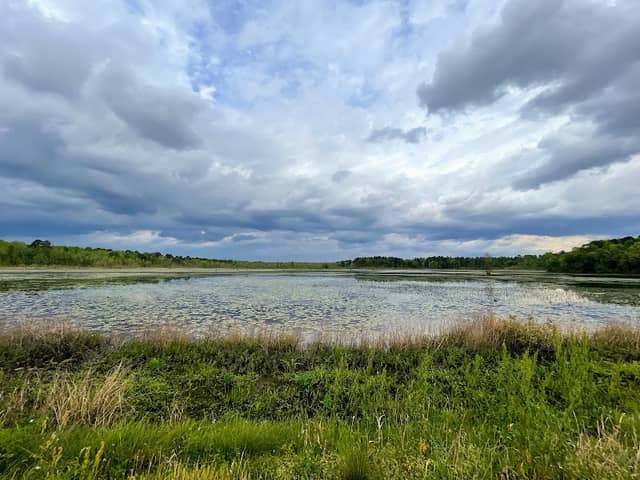 Lake Wallace Walking Trail - Image 2