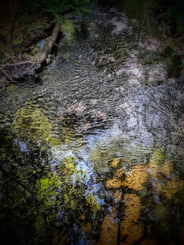 Lost Park - Image 1