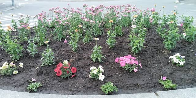 Park - Image 1