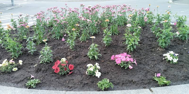 Park - Image 1