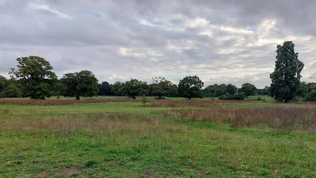 Catton Park - Image 1