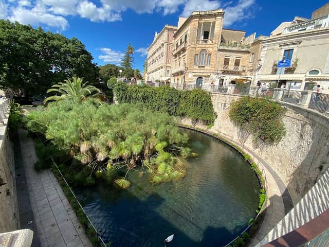 Arethusa Spring - Image 1