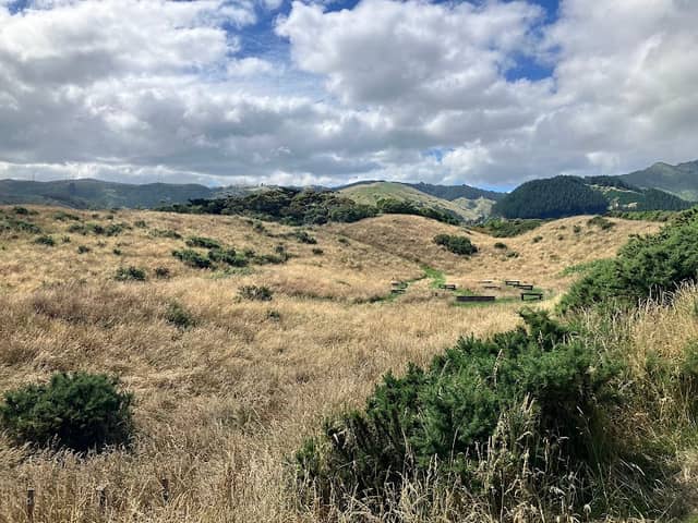 Queen Elizabeth Park - Image 2