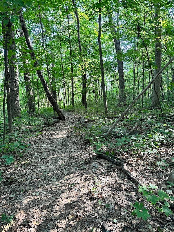 Forest Exploration Center - Image 1