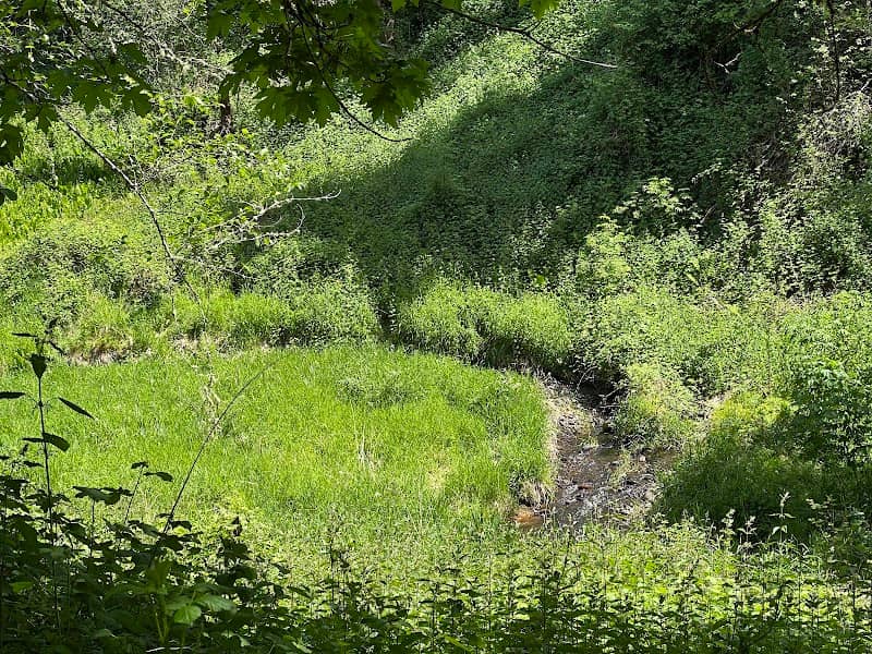 Brezee Creek Trail - Image 2