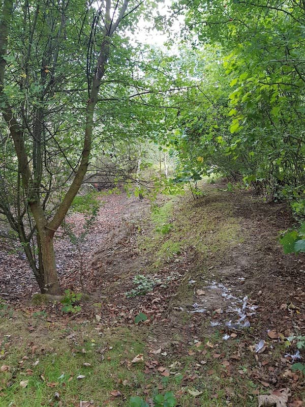 Springfield Lyons Bronze Age Enclosure - Image 1