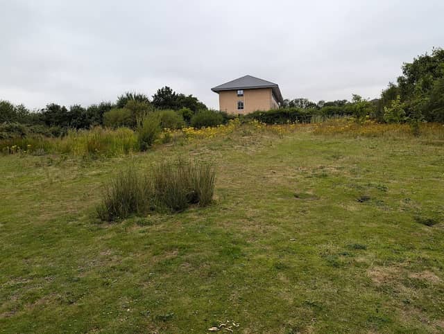 Springfield Lyons Bronze Age Enclosure - Image 2