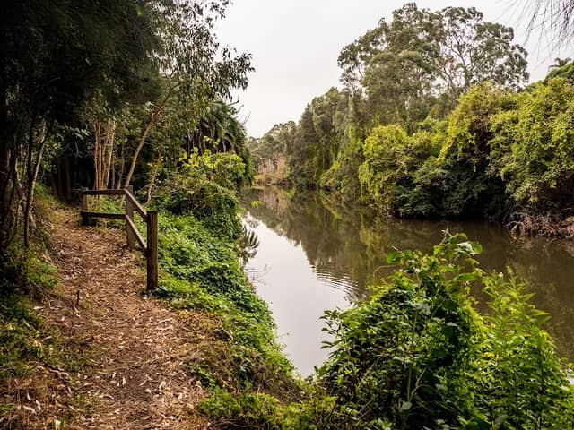 Governor Phillip Walk - Image 3