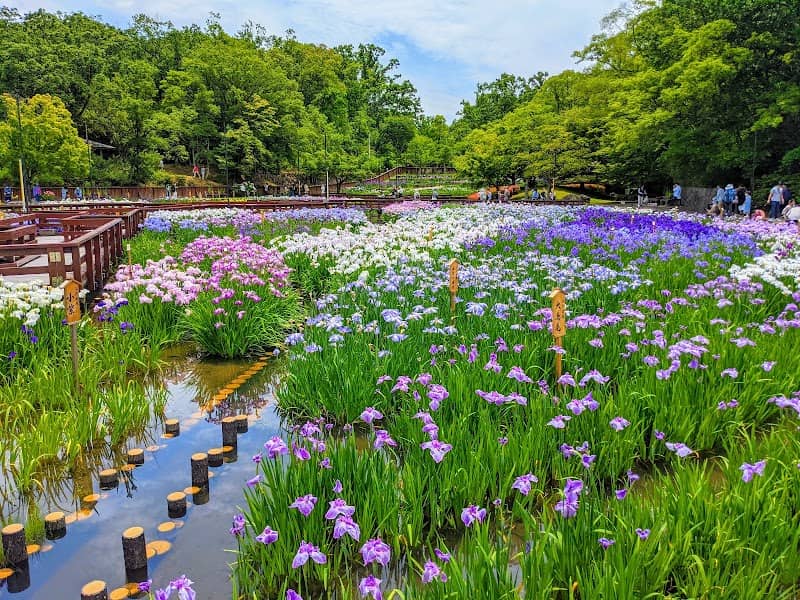 Yamadaike Park - Image 1