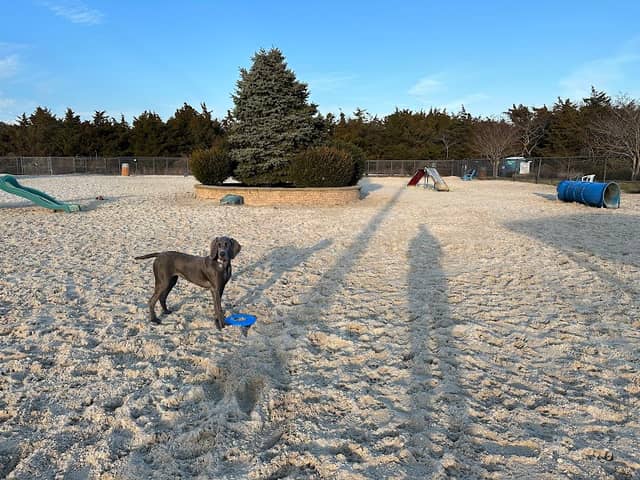 Ocean City Dog Park - Image 1