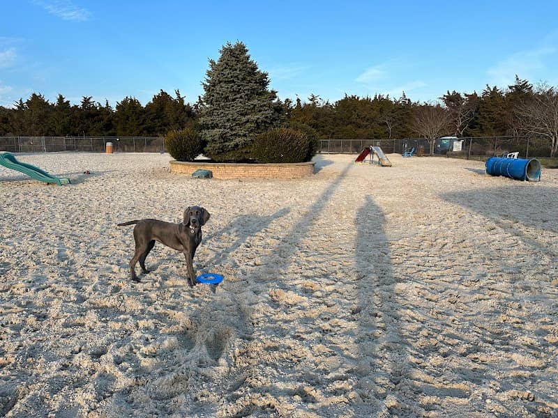 Ocean City Dog Park - Image 1