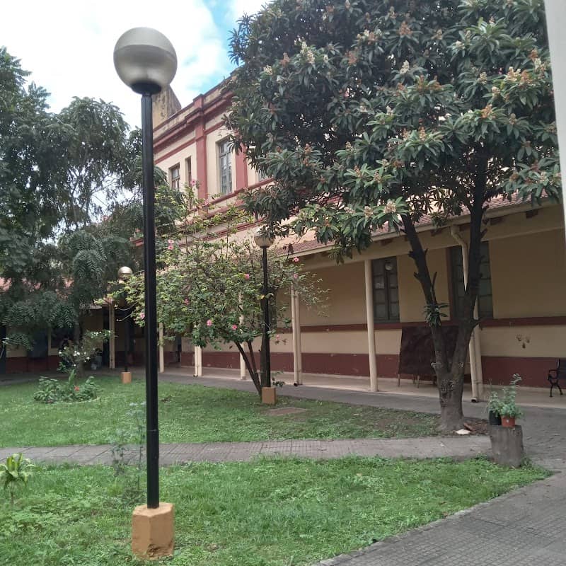 Museo UNT - Image 1
