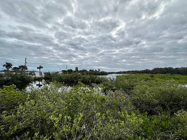 Observation pier - Image 2