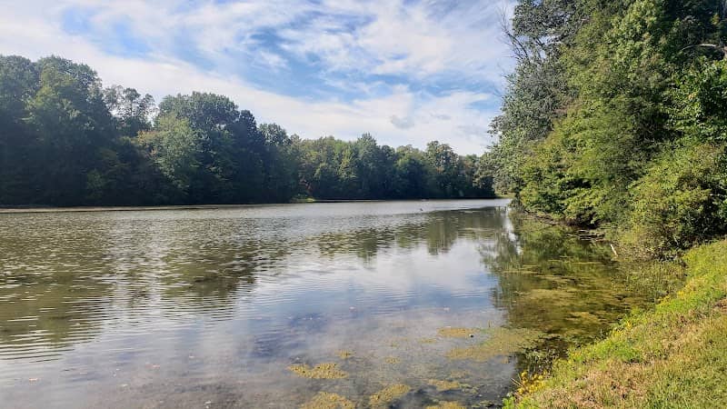 Amann Reservoir - Image 1