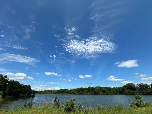 Kendzora Conservation Area - Image 1