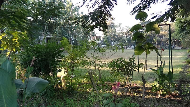 Gandhi Park - Image 1