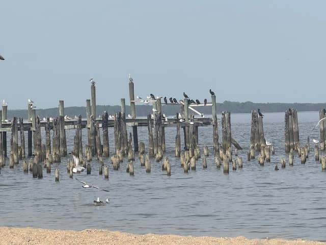 Colonial Beach Boardwalk - Image 2