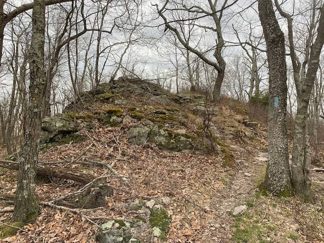 Bear Hill - Image 1